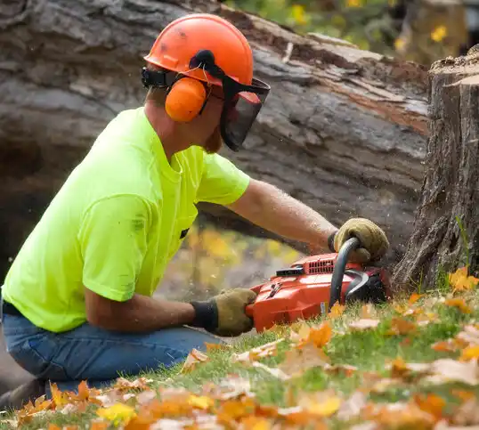 tree services North Fairfield